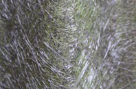 Achmore fibreglass roof work